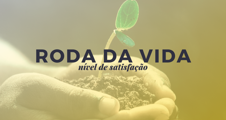 Roda da Vida – nível de satisfação